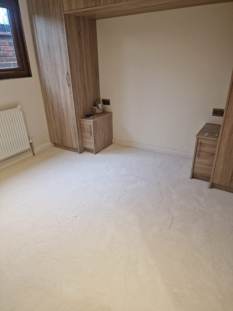 WhatsApp Image 2026-02-20 at 7.39